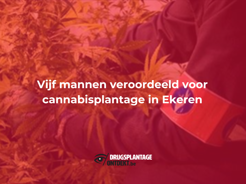 Ekeren - Vijf mannen veroordeeld voor cannabisplantage